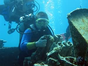 Scuba Diving for all