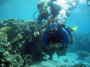 Scuba Diving for all