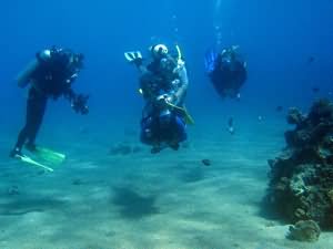 Scuba Diving for all