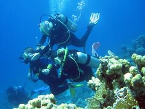 Scuba Diving for all