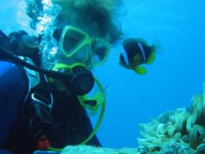 Scuba Diving for all