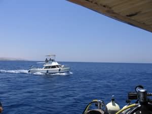 Marine Park boat to the rescue