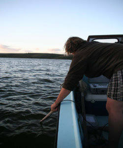 Tracking the shark