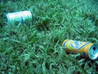 Aluminium Cans