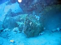 Fishtrap