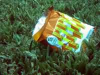Crisp packet