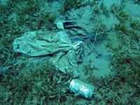Plastic Bags