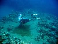 Diver cleaning