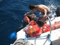 Divers return