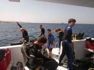 Preparing to dive