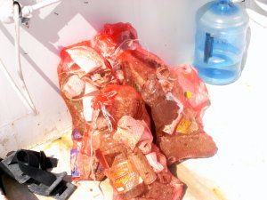Plastic is prevalent this year