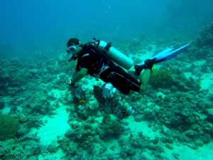 Diver carrying trash underwater