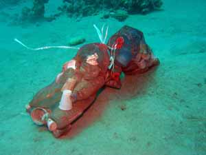 Bags awaiting collection underwater