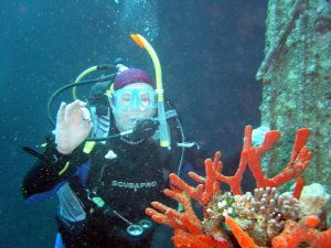 Cedar Pride wreck