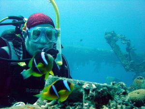 Clown fish encounter
