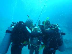Ascent training