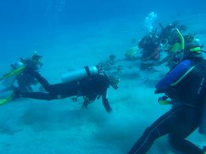 Open water class