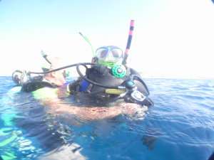 Backward diver!