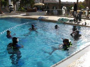 In the pool