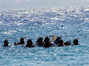 Into Open Water
