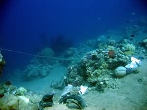 Reef overview - trash & fishing line everywhere