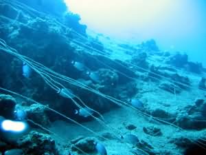 So much line becomes a hazard to visiting divers