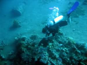 Line is collected into bags so as not to entangle the diver
