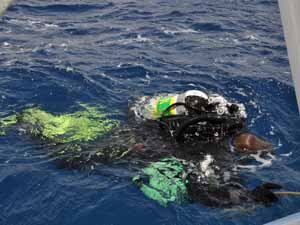Diver returns