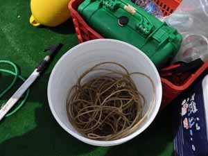 Long line stored in bucket