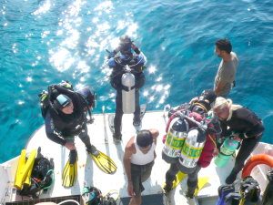 With support divers