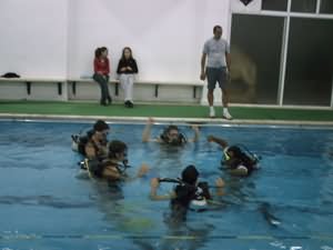 Pool lesson