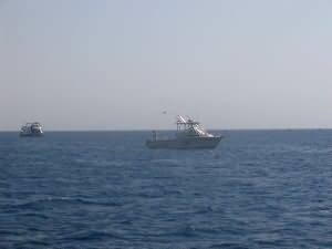 ...while anchored in the Japanese Gardens!