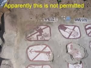 Clearly against the law - maybe they can't understand the pictures