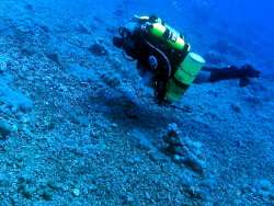 Devastated reef by over fishing in Marine Park!