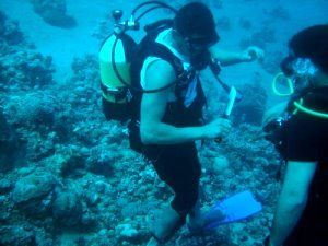 Coral stabber!