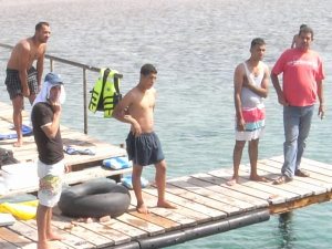 Can you identify these culprits?