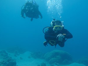 Diver navigating