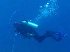 Diver with hoop