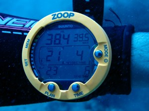 Dive computer