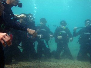 Group underwater