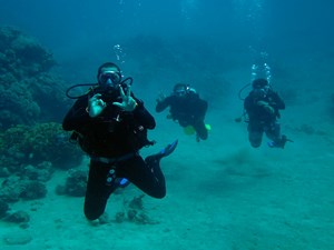 Divers