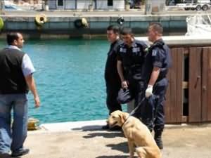 K9 team arrives
