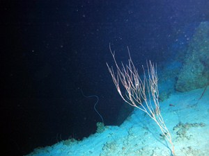 100m down