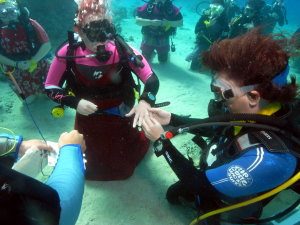 James gives Erin her ring