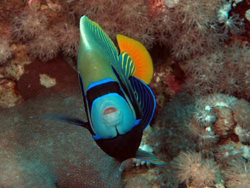 Photo of the Month Winner
