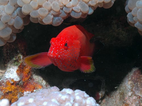Photo of the Week