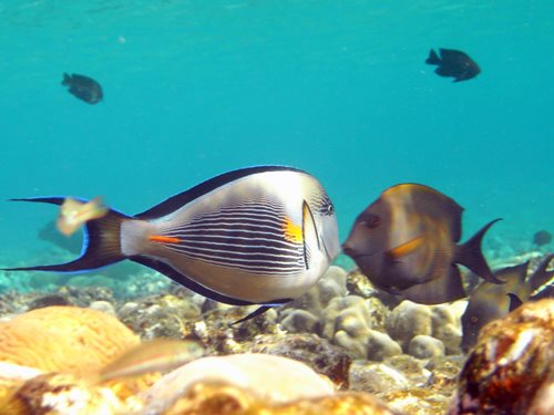 Photo of the Week