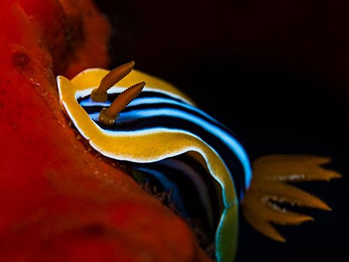 Photo of the Week