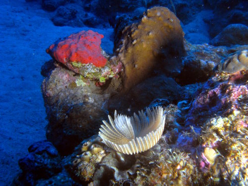 Photo of the Week