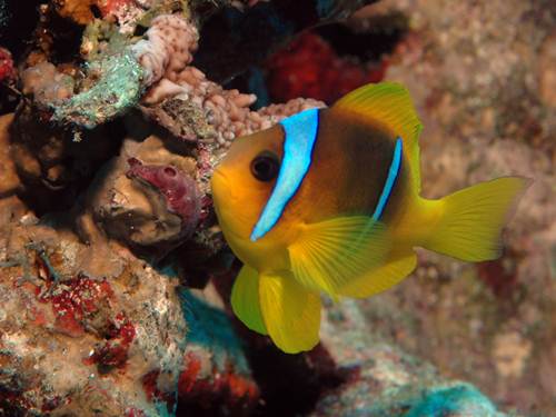 Photo of the Week